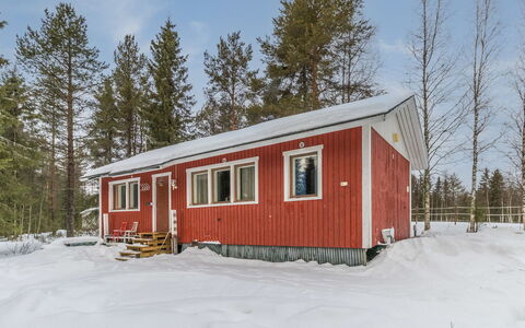 Villa Hepola: Træ, Sommerhus, Bjælkehytte, Skov, Skur, Garden Bygninger, Lærk, Woodland, Bejdse