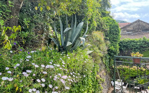 Schöner Augenblick: Blomst, Busk, Have, Blomstrende Plante, Landscaping, Backyard, Botanisk Have, Wildflower, Urt