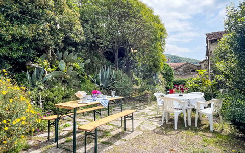 Schöner Augenblick: Busk, Have, Forår, Udendørs Møbler, Udendørs Bord, Landscaping, Gård, Backyard, Blomsterkrukke