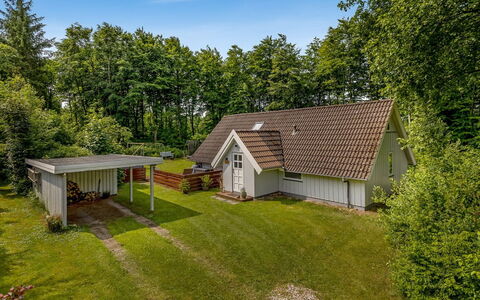 Ejvind - 30Km from the Sea: Estate, Skygge, Indkørsel, Stuehus