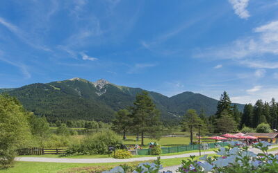Waldblick