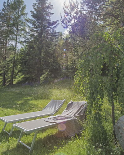 Waldblick