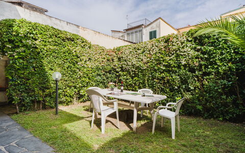 Lido Versilia: Busk, Bunddække, Have, Skygge, Backyard, Landscaping, Gård, Hæk, Gårdsplads, Stueplante