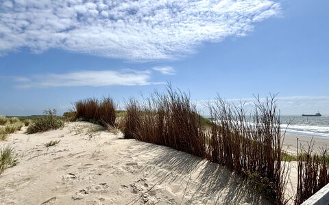 Vlissingen 600: Naturligt Miljø, Horisont, Økoregion, Sand, Strand, Kyst, Coastal Og Oceaniske Landskabsformer, Kyst, Hav, Ocean