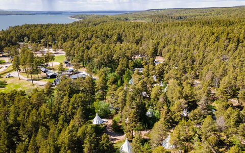 Lagunen Villa 3: Træ, Naturligt Miljø, Landskab, Land Lot, Skov, Naturreservat, Woodland, Landscaping, Lund