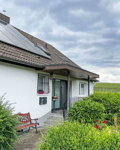 Weinbergblick
