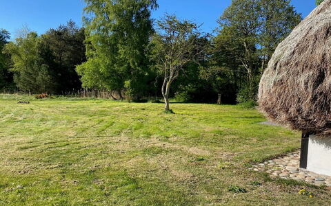 Annabeth - 900M from the Sea: Græs, Træ, Græs-, Almindeligt, Land Lot, Landdistrikt, Tækning, Lawn, Pasture