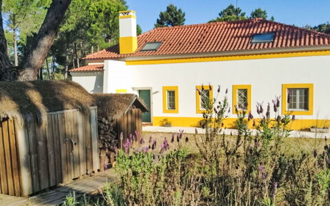 Apartamento 2 Quartos- Ua 94: Gul, Hjem, Sommerhus, Stuehus, Estate, Have, Landscaping, Hacienda, Lawn, Gård