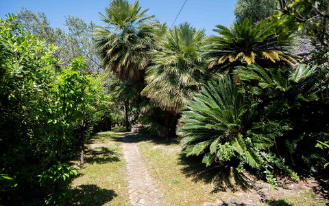 Villa Girasole: Blad, Vegetationen, Busk, Have, Vedplante, Botanisk Have, Landscaping