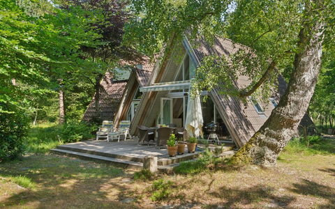 Thrond - 500M from the Sea