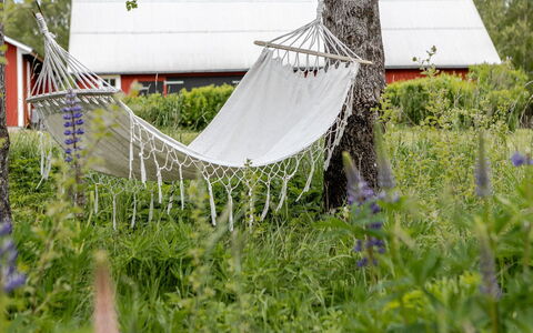 Bygget: Have, Forår, Lawn, Backyard, Gård, Net
