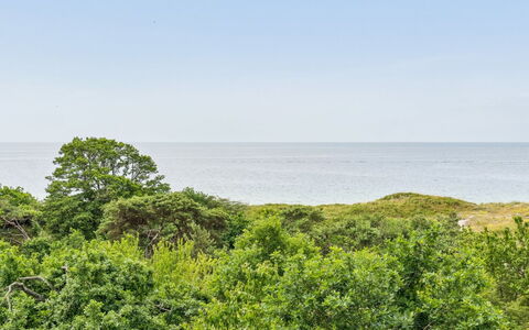 Mariam - 100M from the Sea: Himmel, Blå, Vegetationen, Horisont, Naturlige Landskab, Økoregion, Sky, Sommer, Plantesamfund, Busk