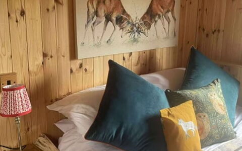 Shepherds Hut: Svømmepøl, Skygge, Udvej, Landscaping, Ferieby, Hegn, Hotel, Badeby