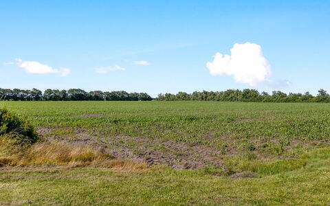 Rahild - 10Km from the Sea: Blå, Busk, Sommerhus, Bunddække, Have, Estate, Skygge, Landscaping, Stuehus, Eco Hotel
