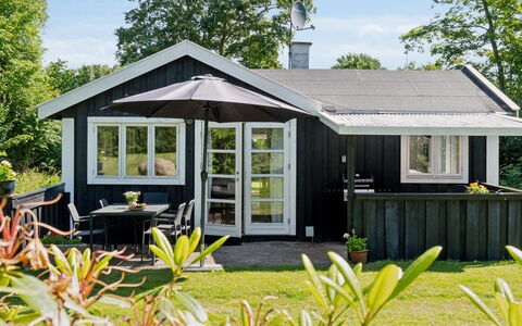 Aria - 1Km from the Sea: Vegetationen, Busk, Forår, Sommerhus, Have, Skygge, Backyard, Gård, Stol