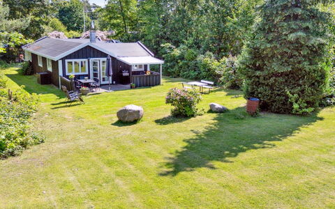 Aria - 1Km from the Sea: Vegetationen, Busk, Forår, Sommerhus, Have, Skygge, Backyard, Gård, Stol