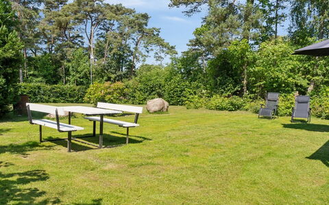 Aria - 1Km from the Sea: Vegetationen, Busk, Forår, Sommerhus, Have, Skygge, Backyard, Gård, Stol
