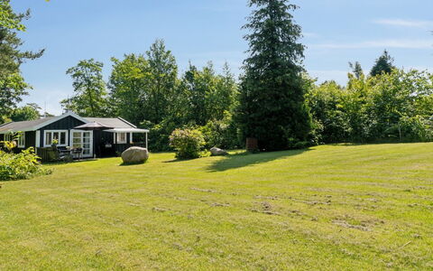 Aria - 1Km from the Sea: Vegetationen, Busk, Forår, Sommerhus, Have, Skygge, Backyard, Gård, Stol