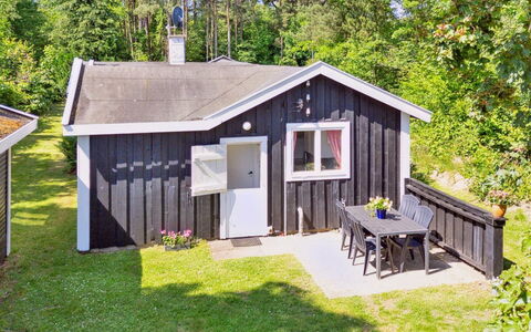 Aria - 1Km from the Sea: Vegetationen, Busk, Forår, Sommerhus, Have, Skygge, Backyard, Gård, Stol