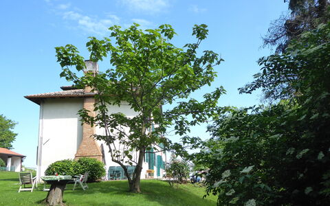 Casa Ballo delle Streghe, Garden, Montebelluna: Lawn, Have, Skygge, Gård, Backyard, Landscaping, Stuehus