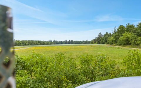 Naimi - 30Km from the Sea: Estate, Skygge, Indkørsel, Stuehus
