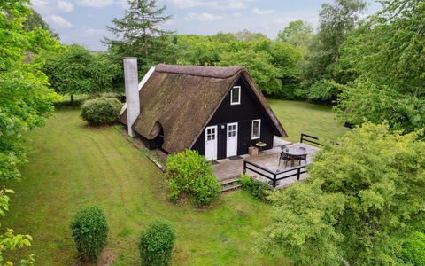 Svenne - 1.4Km from the Sea: Sommerhus, Hus, Hjem, Estate, Stuehus, Have, Lawn, Landscaping, Design, Backyard