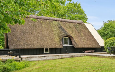 Svenne - 1.4Km from the Sea: Tækning, Sommerhus, Naturmateriale, Stuehus, Sidespor, Planke