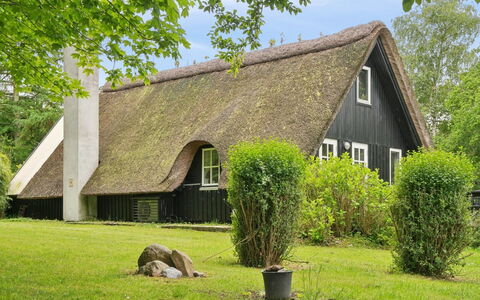 Svenne - 1.4Km from the Sea: Græs, Sommerhus, Tag, Hus, Busk, Land Lot, Hjem, Tækning, Landdistrikt
