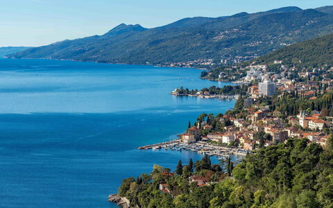Opatija 158: Træ, Indretning, Gulvbelægning, Møbel, Etage, Bord, Køkken & Spisebord, Stol, Trægulve, Værelse