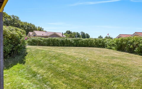 Era - 100M from the Sea: Grøn, Busk, Græs-, Land Lot, Almindeligt, Have, Lawn, Bunddække, Hæk