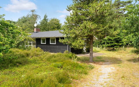 Ivar - from the Sea: Græs, Græs-, Land Lot, Sommerhus, Landdistrikt, Eng, Garden Bygninger, Have, Skur