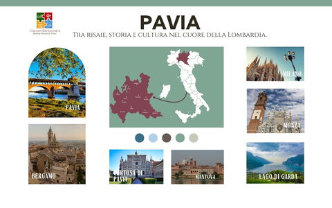 Vittoria Suite: 