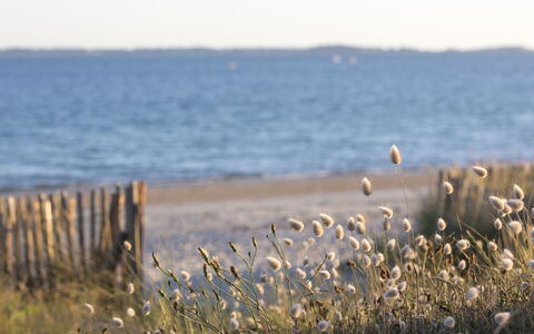 Madavoar: Himmel, Blå, Vand, Naturligt Miljø, Horisont, Strand, Kyst, Hav, Coastal Og Oceaniske Landskabsformer