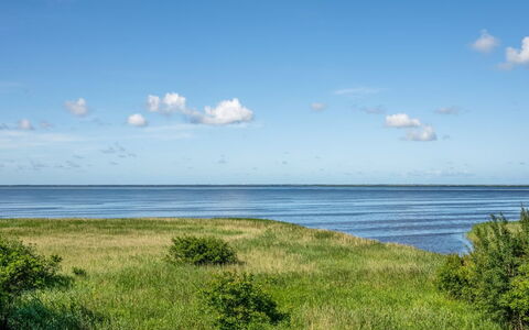 Gadde - 100M to the Fjord: Himmel, Blå, Sky, Horisont, Vand, Daytime, Krop Af Vand, Vandressourcer, Grøn, Græs