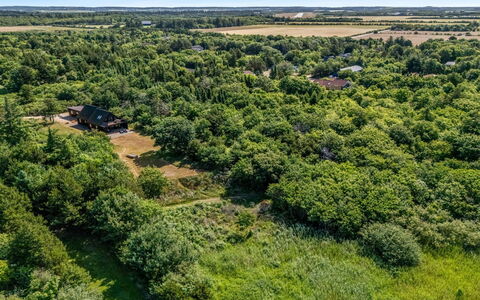 Gadde - 100M to the Fjord: Træ, Naturligt Miljø, Vegetationen, Naturlige Landskab, Landskab, Fugleperspektiv, Økoregion, Almindeligt, Land Lot, Græs-