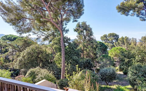 Tamarissime: Træ, Blad, Afdeling, Vegetationen, Vedplante, Sollys, Skygge, Altan, Eco Hotel
