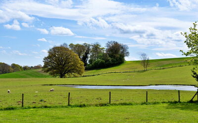 Hay and Hedgerow Glamping
