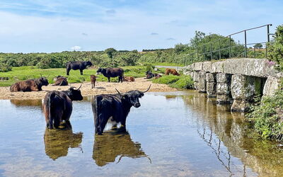 Bodmin 603