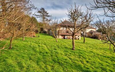Orchard View