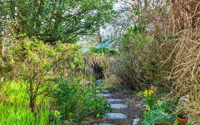 Dolwar Cottage
