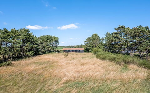 Tatianna - 100M from the Sea: Træ, Hjem, Veranda, Dæk, Hårdttræ, Tag, Bejdse, Trægulve, Eco Hotel