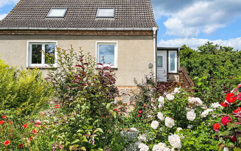 Meerhaus: Busk, Hus, Sommerhus, Have, Tag, Plantesamfund, Bunddække, Forår, Landscaping