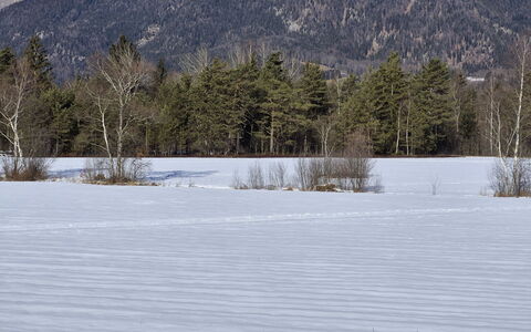 Strobl 1: Vinter, Sne, Træ, Afdeling, Bjergrige Landskabsformer, Bjerg, Ødemark, Fryser, Kvist, Bjergkæde