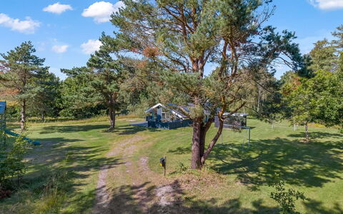 Rathulf - 700M from the Sea: Træ, Almindeligt, Græs-, Land Lot, Eng, Lawn, Pasture, Parkere, Evergreen