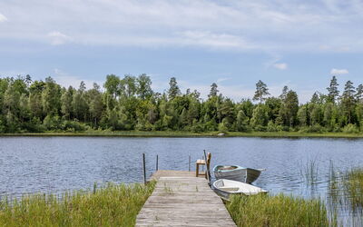 Skogstorp Ledja