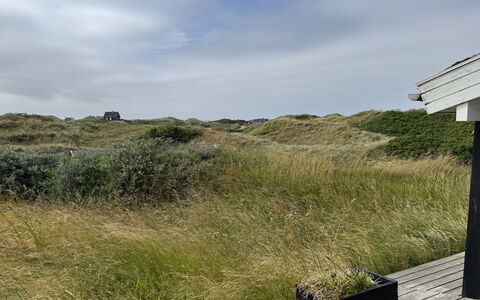 Marcus - 500M from the Sea: Estate, Skygge, Indkørsel, Stuehus