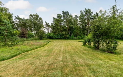 Hoat - 1.7Km from the Sea: Træ, Vegetationen, Græs-, Sommer, Busk, Land Lot, Almindeligt, Plantesamfund, Eng