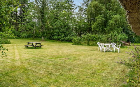 Hoat - 1.7Km from the Sea: Græs, Busk, Græs-, Almindeligt, Land Lot, Eng, Lawn, Have, Pasture, Parkere