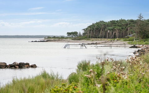 Kjell - 25M from the Sea: 