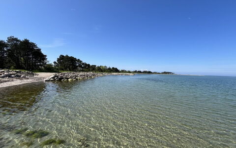 Kjell - 25M from the Sea: 